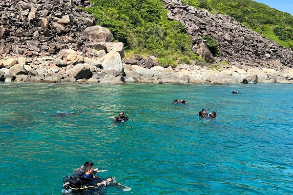 Khánh Hòa đưa ra kế hoạch phục hồi rạn san hô vịnh Nha Trang - Anh 4