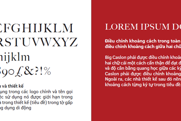 Bảo tàng Mỹ thuật Việt Nam công bố logo chính thức - Anh 4