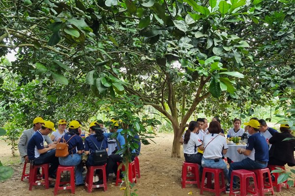 Tập huấn kỹ năng giao tiếp cho người dân - Anh 1