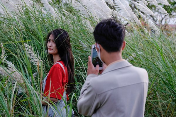 Đà Nẵng: Người dân, du khách hào hứng “check-in” mùa lau trắng - Anh 6