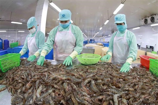 Báo Đức ca ngợi đường lối và chính sách hiệu quả của Việt Nam - Anh 1