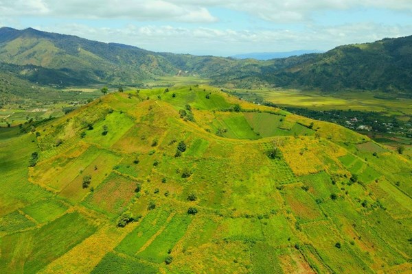 Núi lửa Chư Đăng Ya nhuộm vàng sắc hoa dã quỳ - Anh 1