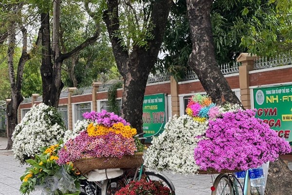TP Vinh cho phép gánh hàng hoa được bán sau phản ứng trái chiều - Anh 1