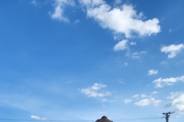 Gia Lai: Chủ đầu tư dự án trang trại chăn nuôi Hòa Phát Năm 