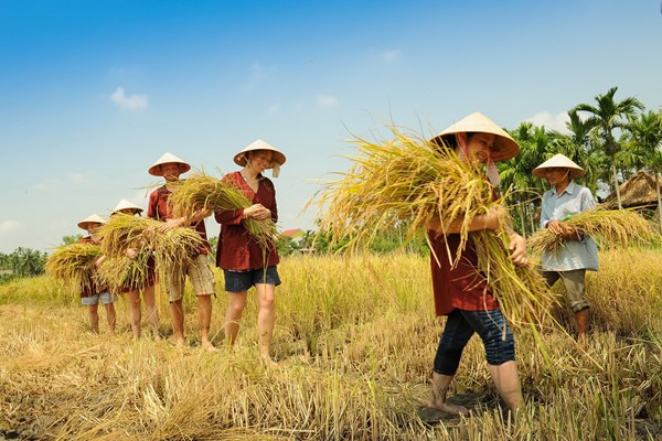 Hội An hướng tới thành phố sáng tạo: Phát triển và sáng tạo trên nền tảng truyền thống - Anh 1