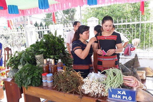 Kon Tum: Lần đầu tiên tổ chức chợ phiên dược liệu, gia súc - Anh 2