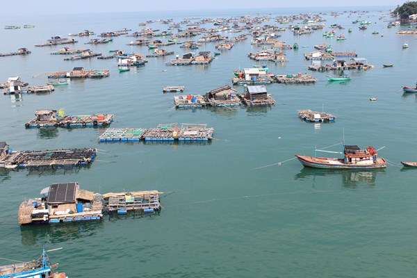 Kiên Giang phát động cuộc thi Ảnh nghệ thuật lễ hội và mùa xuân - Anh 1