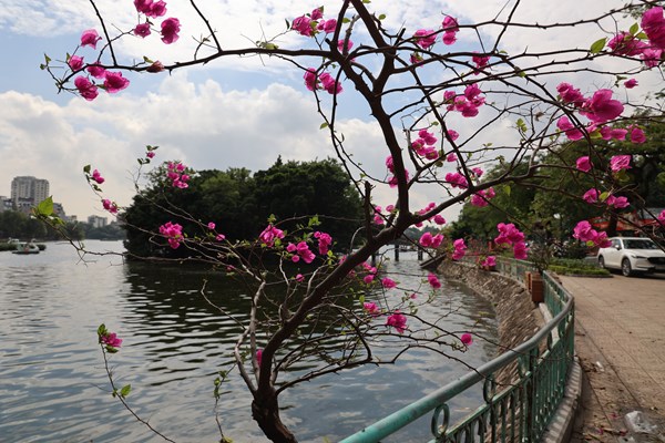 Hà Nội sắp có Khu phố ẩm thực đêm kết hợp đi bộ Đảo Ngọc – Ngũ Xã - Anh 5