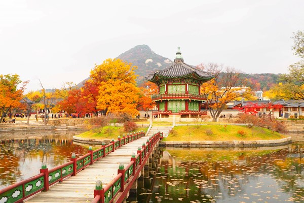 ﻿Khám phá Hàn Quốc mùa lễ hội với các đường bay “độc nhất vô nhị” của Vietjet - Anh 1