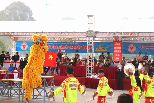 TP.HCM nhất toàn đoàn môn Lân sư rồng - Anh 2