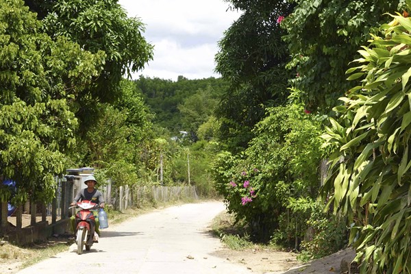 Xí Thoại: Làng văn hóa mãi xanh – sạch – đẹp - Anh 3