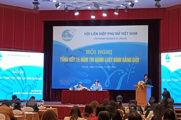 Còn nhiều hạn chế trong chính sách pháp luật liên quan đến bình đẳng giới - Anh 1