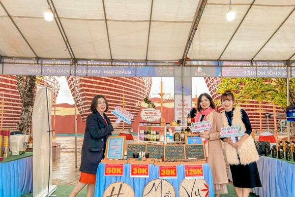 Quảng Nam: Khai mạc Ngày hội khởi nghiệp sáng tạo xanh - Anh 3