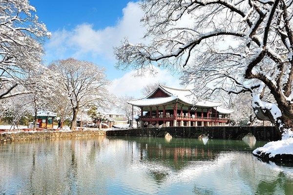 Bay thẳng Đà Lạt – Seoul, Cần Thơ – Seoul từ hôm nay với vé Vietjet siêu tiết kiệm - Anh 2