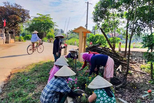 Những con đường hoa ven phá Tam Giang - Anh 1