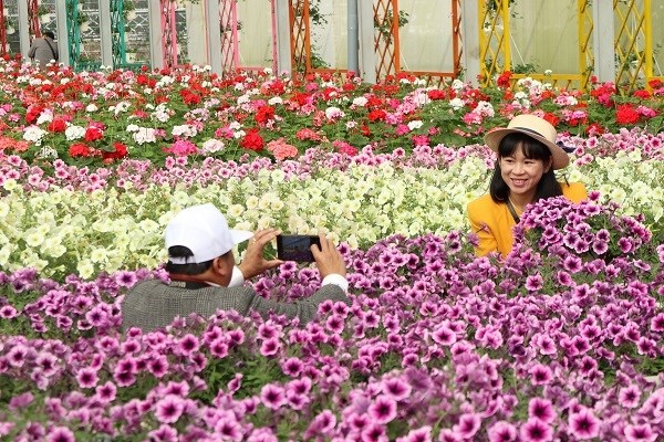 Doanh nghiệp gặp khó về thủ tục khi triển khai các dự án Du lịch Canh nông - Anh 2