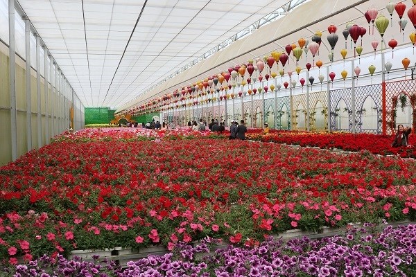 Doanh nghiệp gặp khó về thủ tục khi triển khai các dự án Du lịch Canh nông - Anh 3