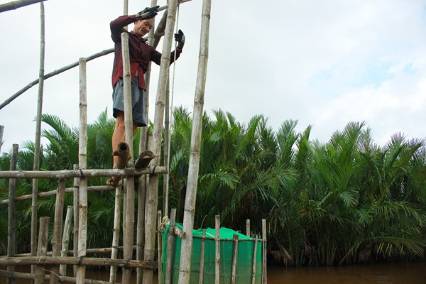 Mưu sinh với đặt nò bẫy cá trên sông Trà Bồng - Anh 1