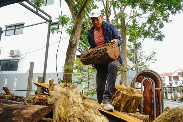 Độc đáo tượng linh vật mèo từ củi lũ ở Hội An - Anh 3