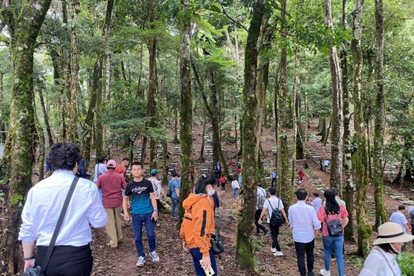Kon Tum: Thủ phủ Sâm Ngọc Linh tổ chức phiên chợ sâm lần thứ 2 - Anh 5