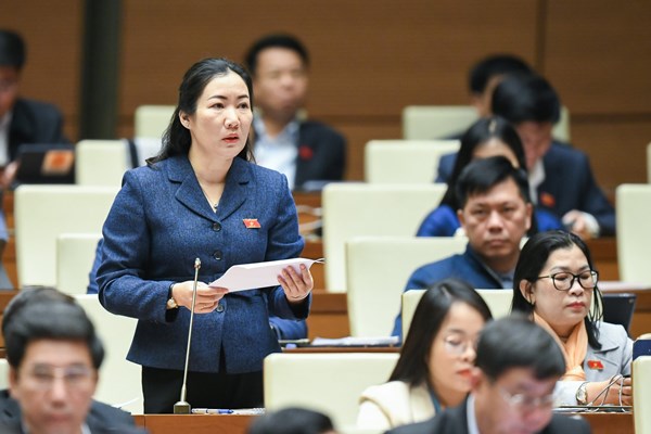 Quốc hội thảo luận về Quy hoạch tổng thể quốc gia: Cần quan tâm hơn đến lĩnh vực văn hoá, thể thao và du lịch - Anh 7