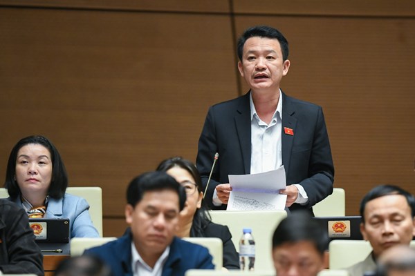 Quốc hội thảo luận về Quy hoạch tổng thể quốc gia: Cần quan tâm hơn đến lĩnh vực văn hoá, thể thao và du lịch - Anh 5