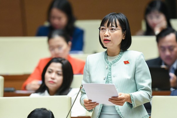 Quốc hội thảo luận về Quy hoạch tổng thể quốc gia: Cần quan tâm hơn đến lĩnh vực văn hoá, thể thao và du lịch - Anh 4