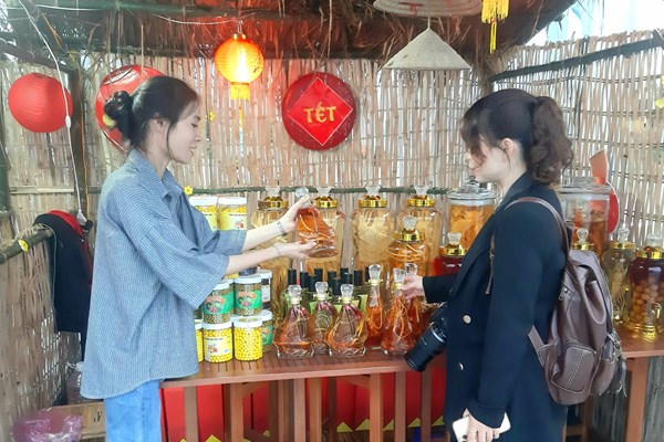 Bình Định: Lễ hội Mai vàng lần thứ nhất“ Khát vọng tỏa sáng” - Anh 4