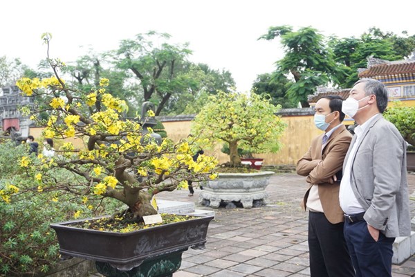Xây dựng thương hiệu “Hoàng mai Huế” - Anh 1