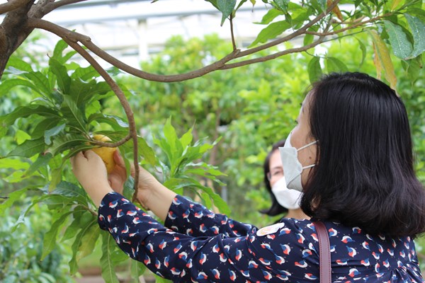 TP.HCM: Thêm hàng loạt sản phẩm du lịch mới dịp xuân Quý Mão - Anh 3