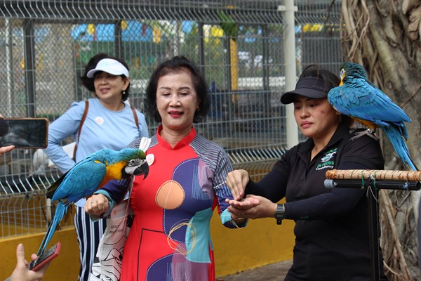 TP.HCM: Thêm hàng loạt sản phẩm du lịch mới dịp xuân Quý Mão - Anh 2