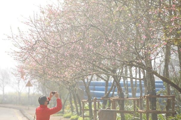 Sa Pa – Điểm du xuân lý tưởng dịp Tết Nguyên đán Quý Mão - Anh 3
