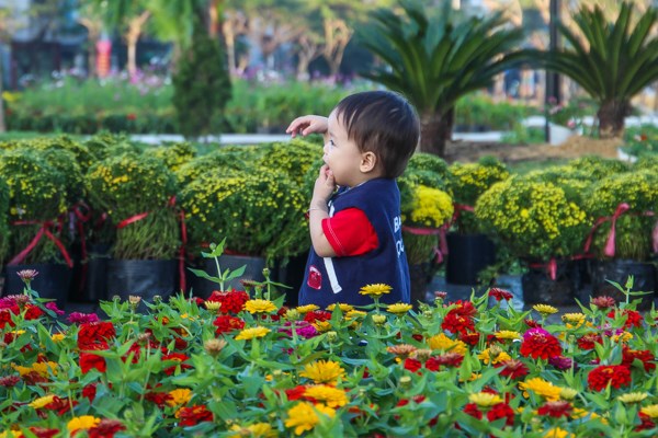 Rực rỡ sắc hoa xuân dưới chân Danh thắng Ngũ Hành Sơn - Anh 6