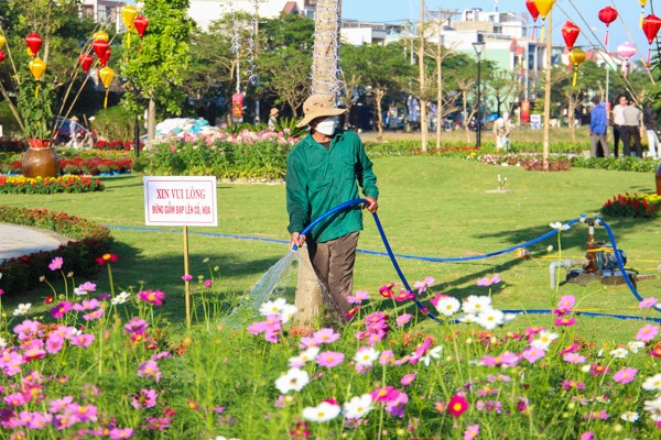 Rực rỡ sắc hoa xuân dưới chân Danh thắng Ngũ Hành Sơn - Anh 1