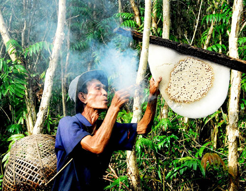 Gác kèo ong ở xứ rừng U Minh Hạ - Anh 2