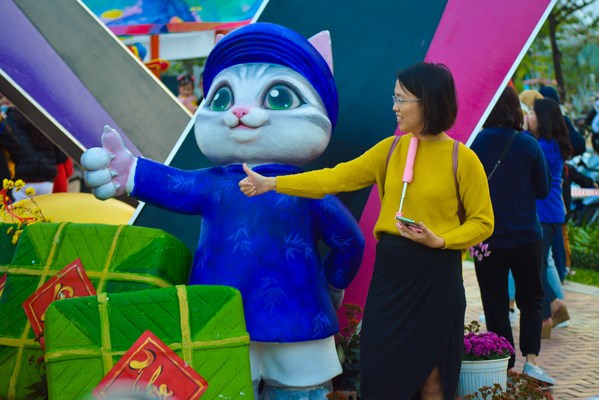 Đà Nẵng: Vườn hoa Tết “Hội tụ và phát triển” thu hút người dân, du khách - Anh 4