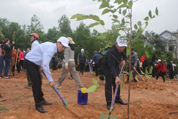 Quảng Ngãi đồng loạt ra quân hưởng ứng “Tết trồng cây đời đời nhớ ơn Bác Hồ” - Anh 3
