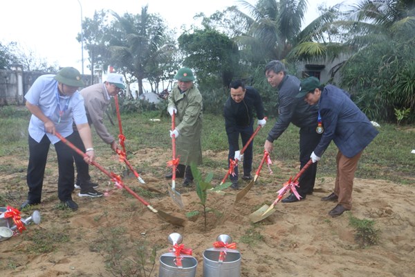 Trồng cây xanh ở khu di tích Phú Khương, thị xã Đức Phổ - Anh 1