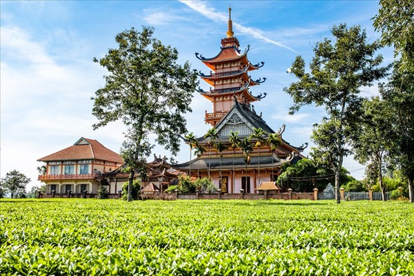 Kẻ gian đột nhập chùa Bửu Minh trộm 4 pho tượng - Anh 1