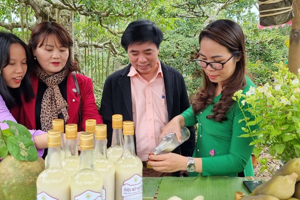 Ngắm mai vàng độc đáo khoe sắc ở Quảng Ngãi - Anh 5