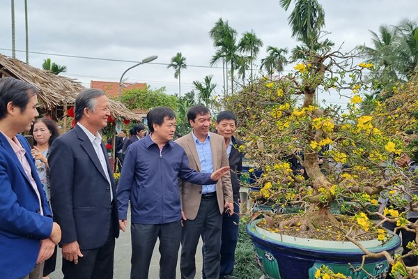 Những tuyệt phẩm mai vàng giá hàng trăm triệu đồng - Anh 1