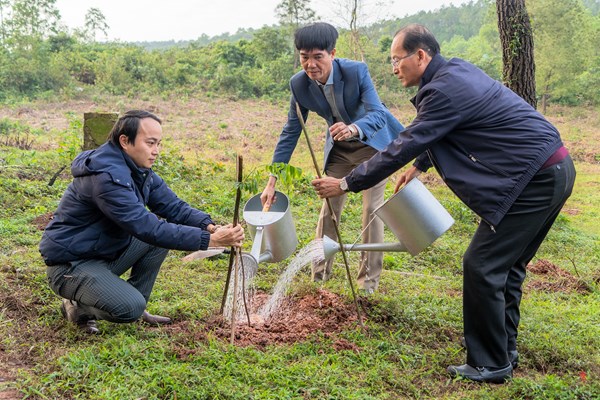 Huế trồng 3.000 cây xanh tại các di tích - Anh 1
