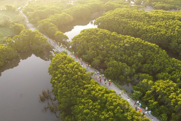 Kích cầu du lịch từ giải chạy marathon ở rừng ngập mặn Bàu Cá cái - Anh 2
