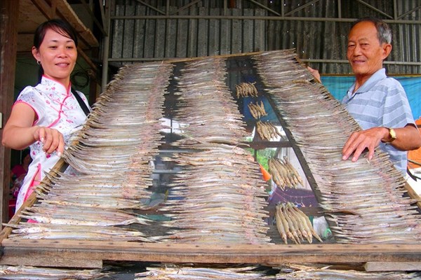 Rộn ràng phố biển đầu xuân - Anh 1