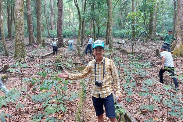 Kon Tum: Tìm hướng đi cho du lịch ở “thủ phủ” sâm Ngọc Linh - Anh 2
