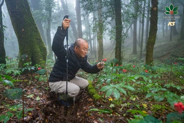 Kon Tum: Tìm hướng đi cho du lịch ở “thủ phủ” sâm Ngọc Linh - Anh 3