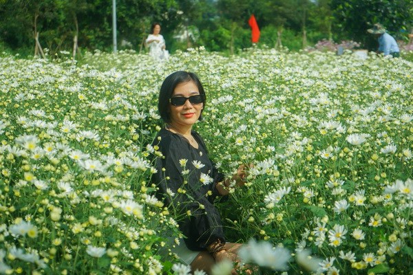 Đà Nẵng: Vườn cúc họa mi trái mùa thu hút người dân, du khách - Anh 6