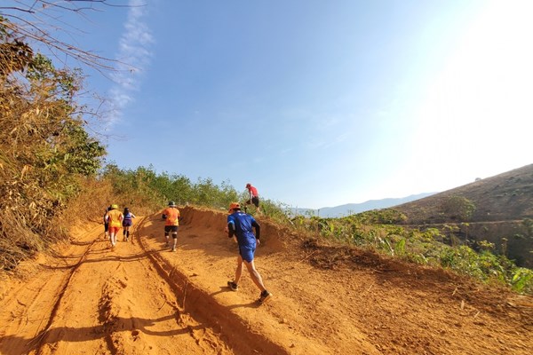 Kon Tum: Gần 1.000 VĐV  tham gia giải Thaco Marathon vì An toàn giao thông - Sa Thầy 2023 - Anh 3