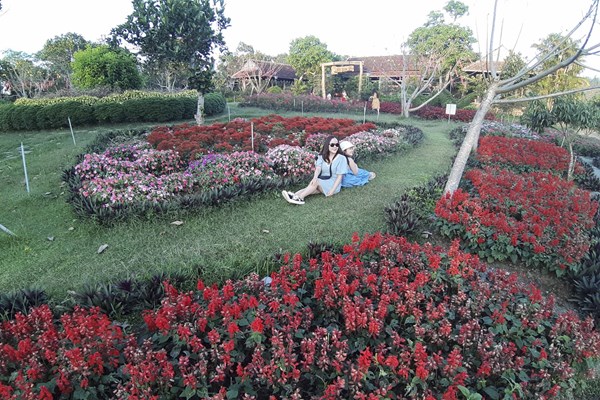 Các điểm du lịch tự phát ở Phú Yên: Phải xử lý một cách căn cơ, có kỷ cương, kỷ luật - Anh 1