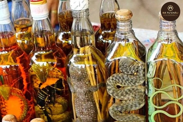 Cẩn trọng với hàm lượng, chất lượng rượu ngâm “thuốc” - Anh 1